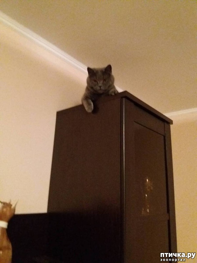 ���� 10: ����� �� ������� ���?