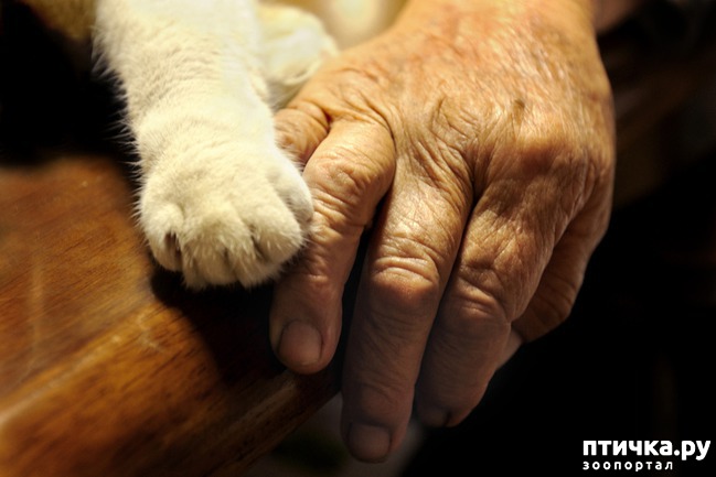 ���� 1: ����� �� ������� ���?