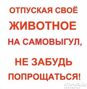 ����: ���������. ����� ������� �������� ������.