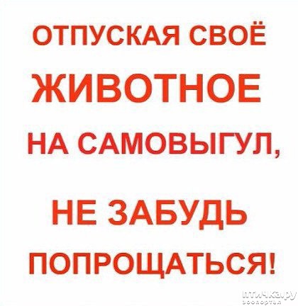 ���� 1: ���������. ����� ������� �������� ������.