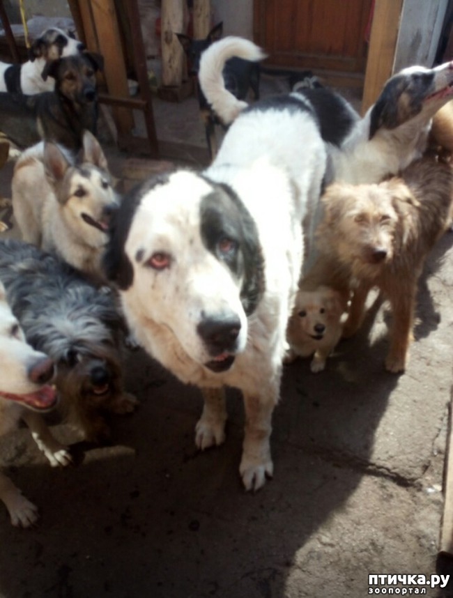 ���� 2: � ������ � ���������