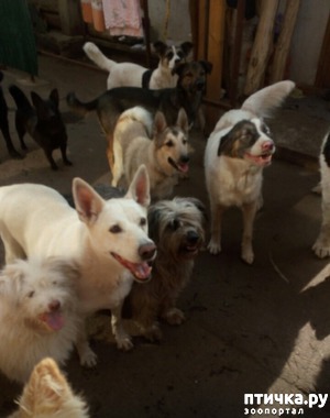 ����: � ������ � ���������