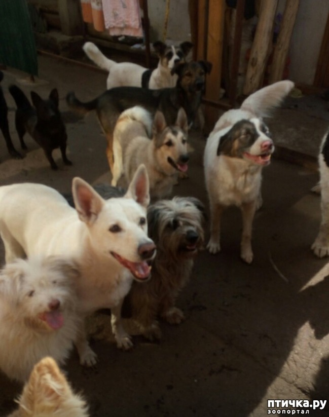 ���� 1: � ������ � ���������