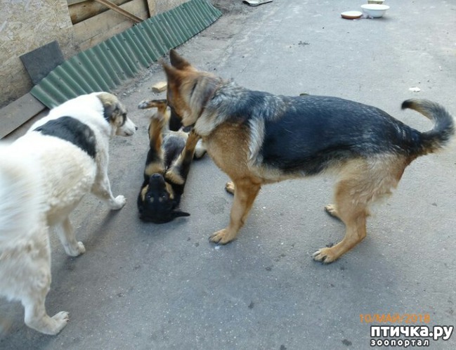 ���� 9: � ������ � ���������