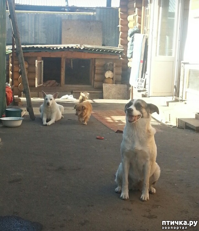 ���� 3: � ������ � ���������