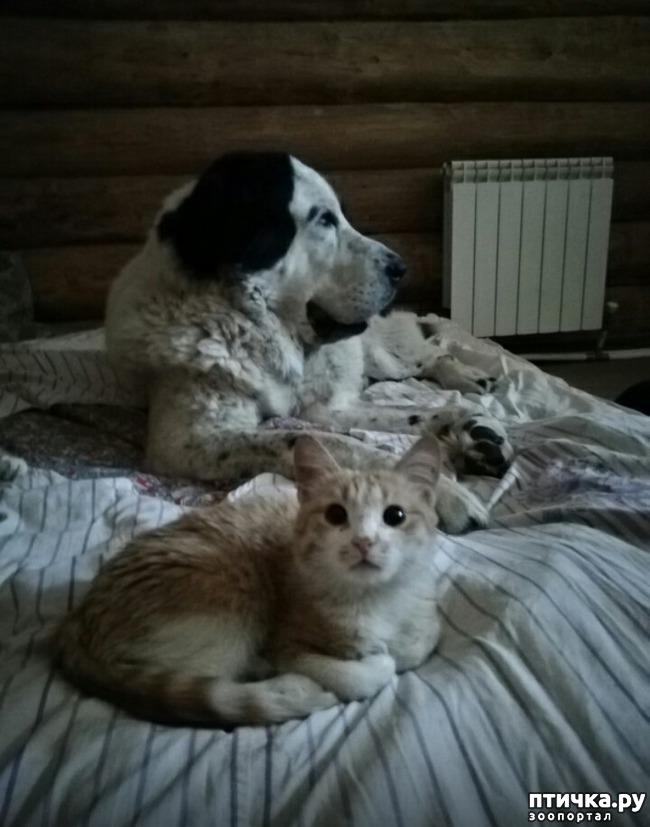 ���� 4: � ������ � ���������