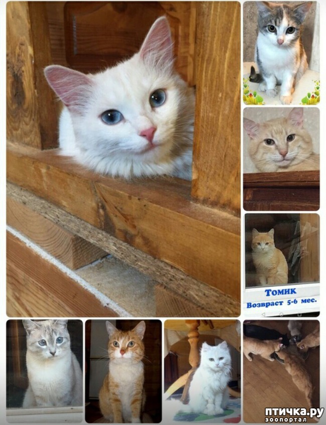 ���� 5: � ������ � ���������