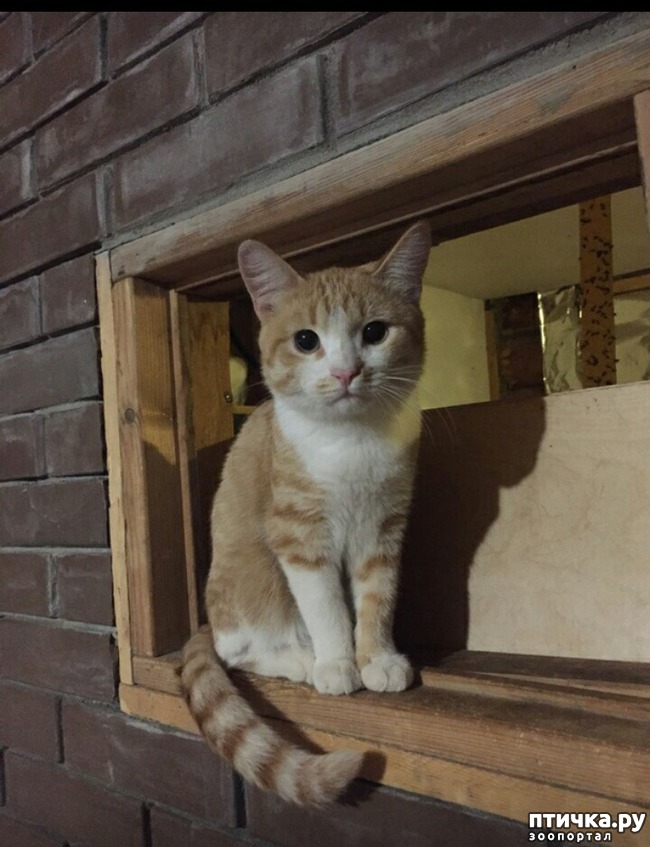 ���� 6: � ������ � ���������