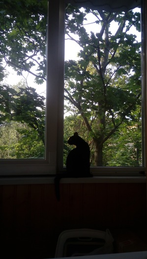 ����: ��� ������ ������ ����������� ������ :)