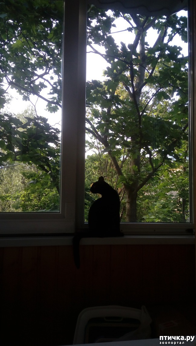 ���� 1: ��� ������ ������ ����������� ������ :)