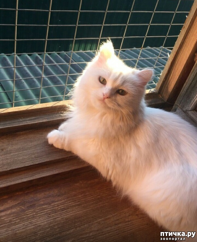 ���� 7: � ������ � ���������