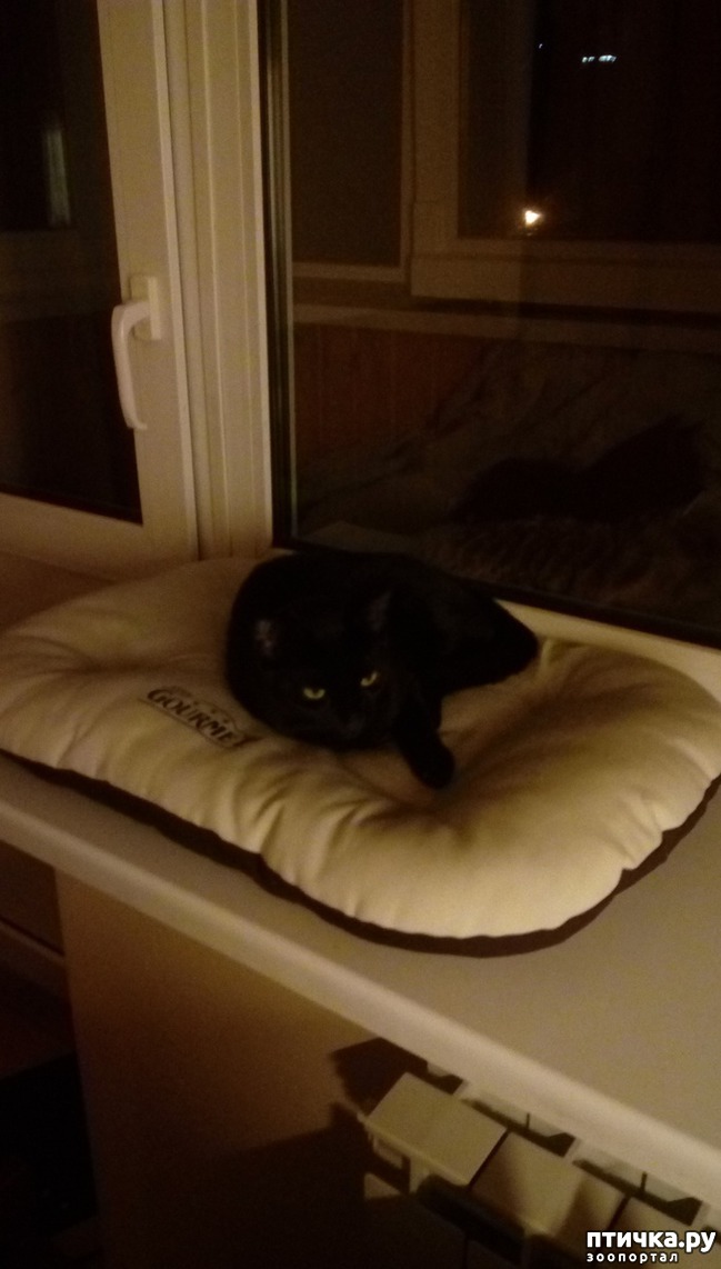 ���� 2: ��� ������ ������ ����������� ������ :)