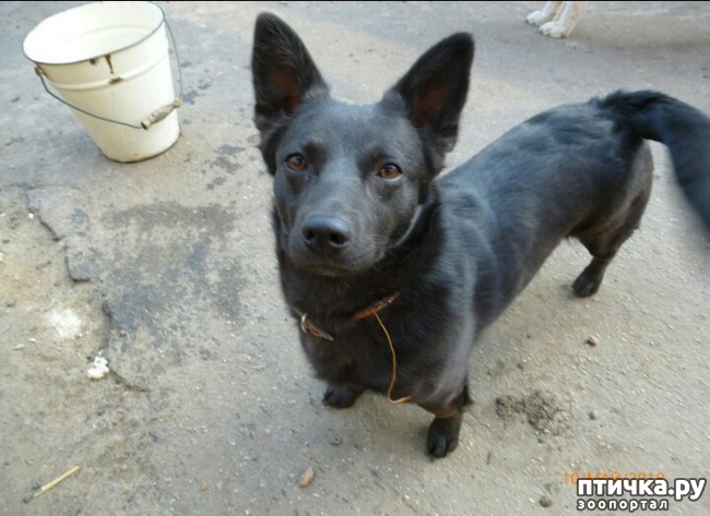 ���� 8: � ������ � ���������