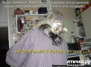 ����: �����������: �� � ���� �������!