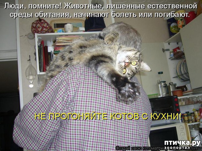 ���� 1: �����������: �� � ���� �������!