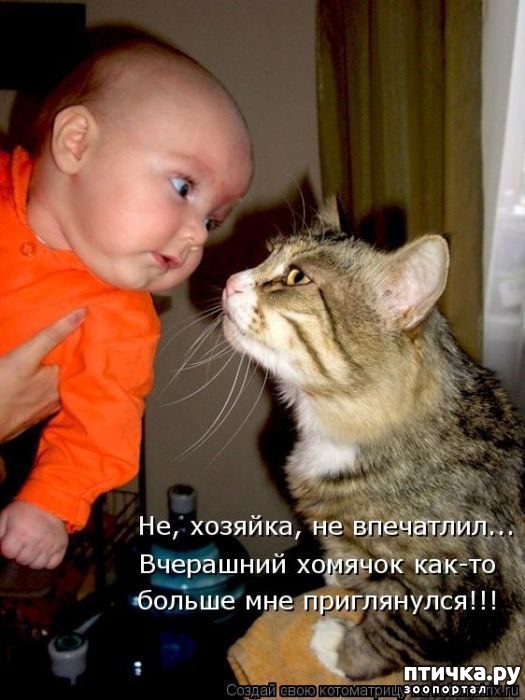 ���� 3: �����������: �� � ���� �������!