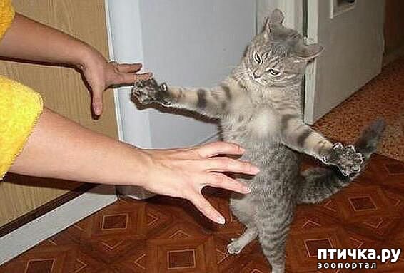 ���� 4: �����������: �� � ���� �������!