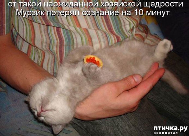 ���� 5: �����������: �� � ���� �������!