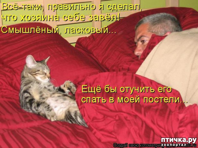 ���� 6: �����������: �� � ���� �������!