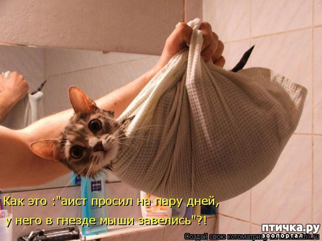 ���� 8: �����������: �� � ���� �������!