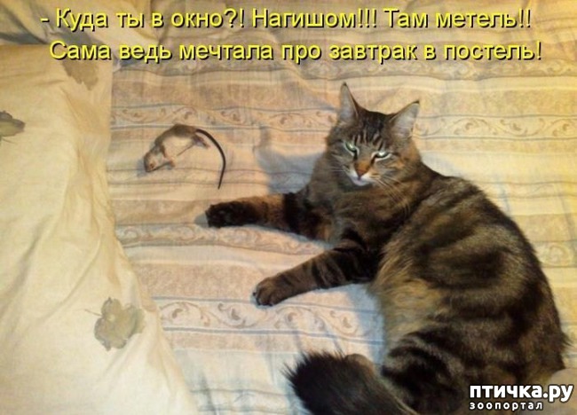 ���� 10: �����������: �� � ���� �������!