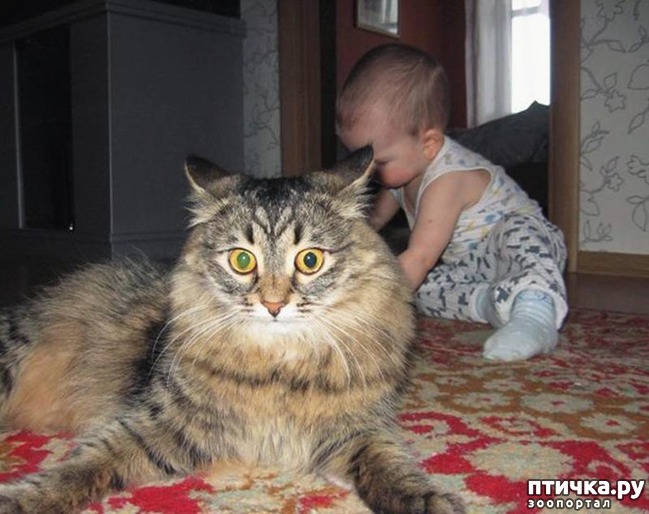 ���� 11: �����������: �� � ���� �������!