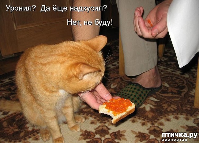 ���� 12: �����������: �� � ���� �������!