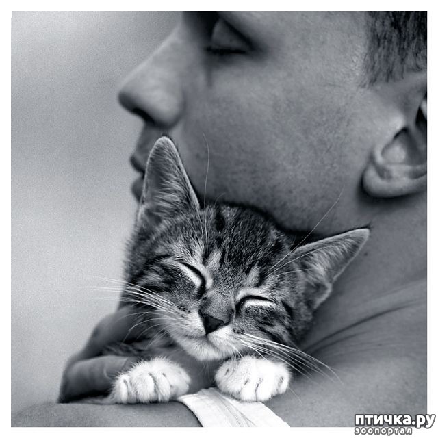 ���� 13: �����������: �� � ���� �������!