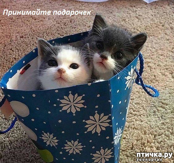 ���� 1: ������� �������� ��������� ��������