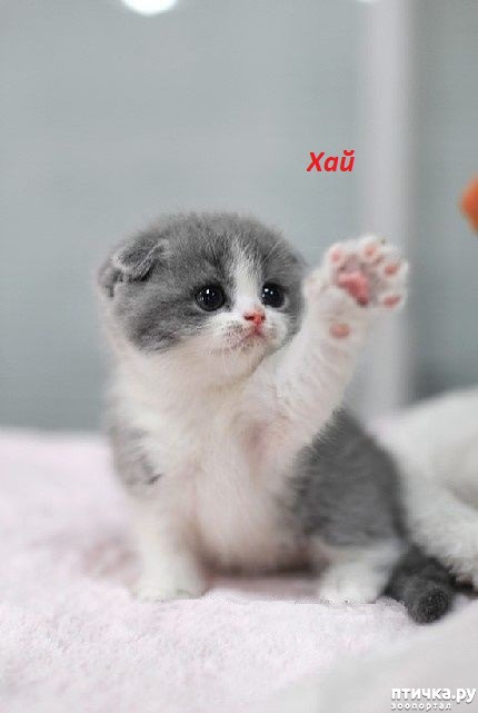 ���� 2: ������� �������� ��������� ��������