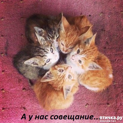 ���� 8: ������� �������� ��������� ��������