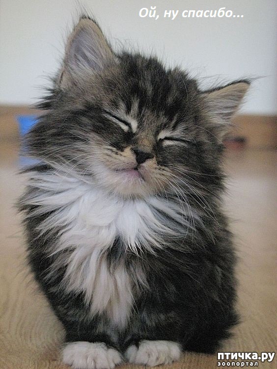 ���� 10: ������� �������� ��������� ��������