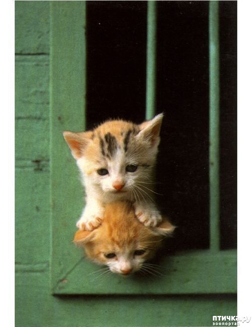 ���� 12: ������� �������� ��������� ��������