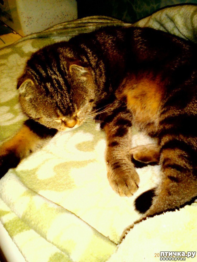 ���� 1: ��� ���� ��������.