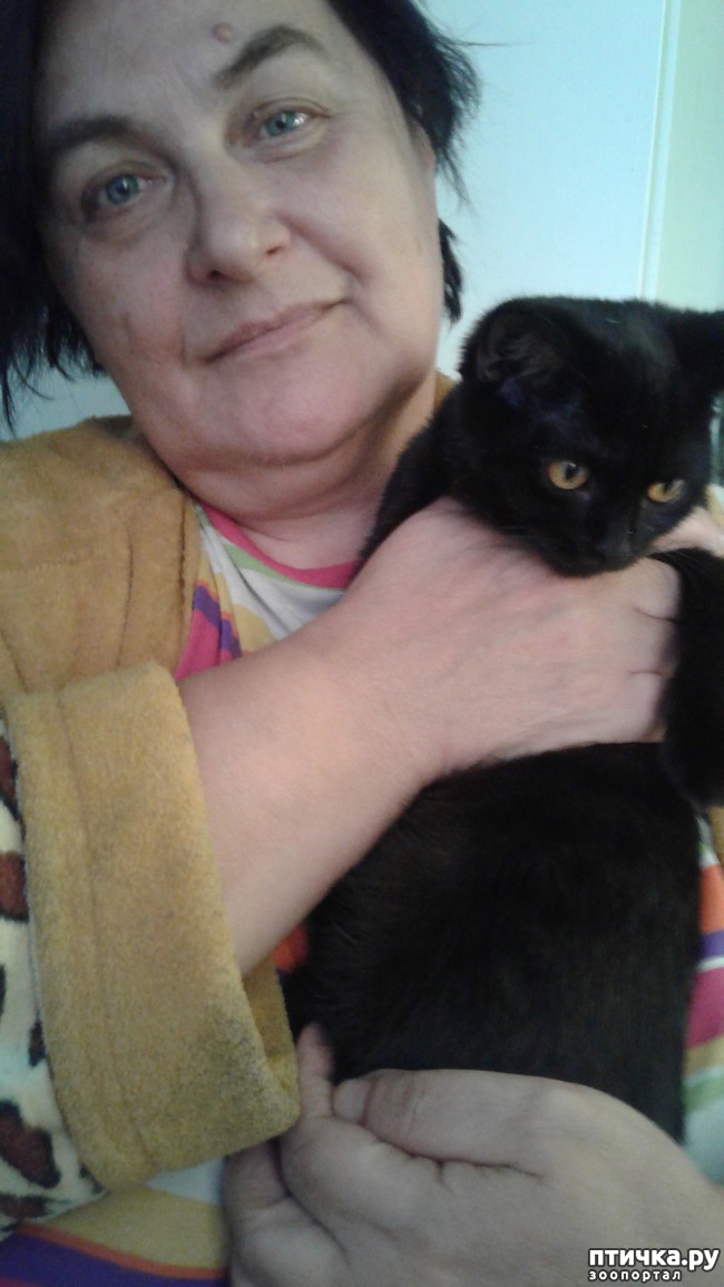 ���� 1: �����.