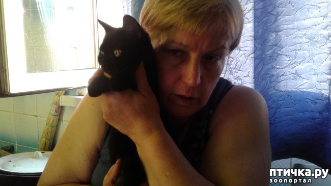 ���� 2: �����.