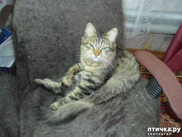 ���� 2: ��� ������.