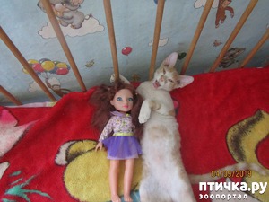 ����: �������� ���������� ������.