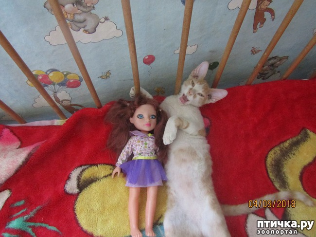 ���� 1: �������� ���������� ������.