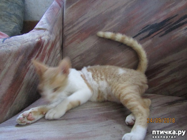 ���� 2: �������� ���������� ������.