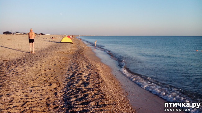 ���� 2: �, ����, ����!