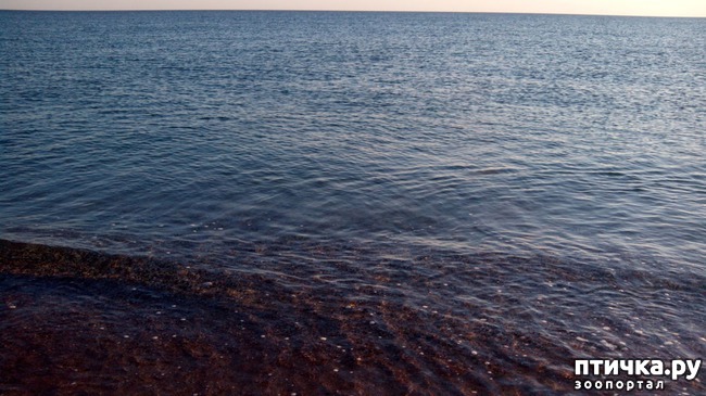 ���� 3: �, ����, ����!