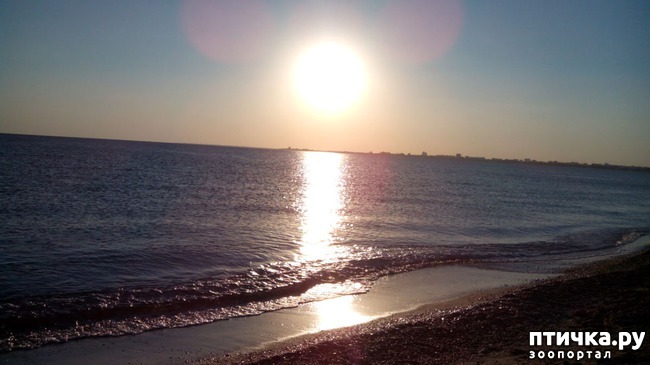 ���� 4: �, ����, ����!