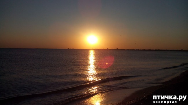 ���� 5: �, ����, ����!