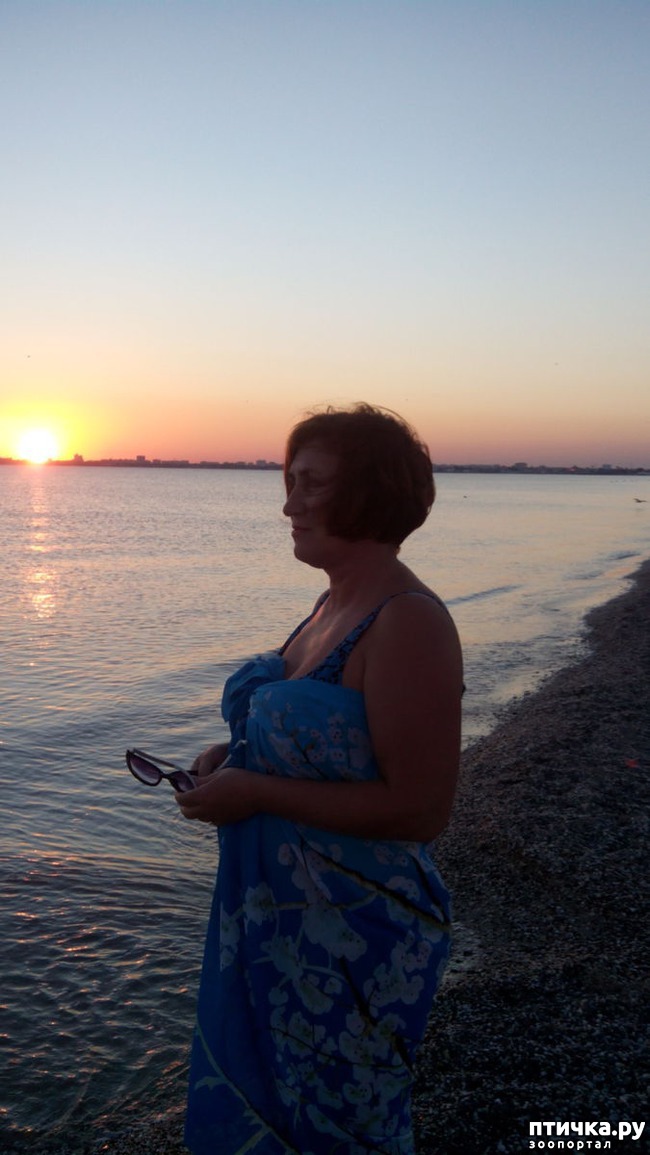 ���� 6: �, ����, ����!