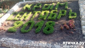 ����: �, ����, ����!