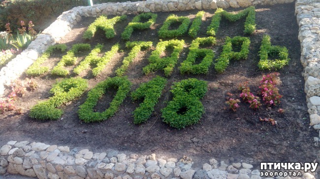 ���� 1: �, ����, ����!