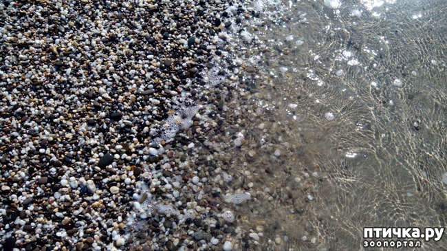 ���� 8: �, ����, ����!