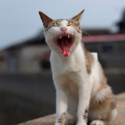 ���� 2: � ������ � ������ �������