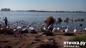 ����: ��������� �����